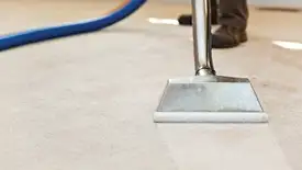 Carpet cleaning wand head gliding over a light carpet during hot-water extraction, Saint Louis, MO.