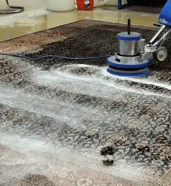 Professional rug cleaning with a rotary floor machine and shampoo foam, deep-cleaning an area rug Saint Louis, MO.
